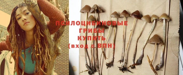прущий лед Строитель